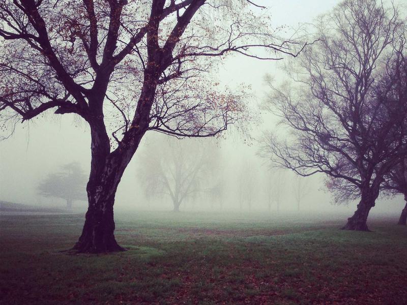 Mercedes-Benz G63 AMG photo 2